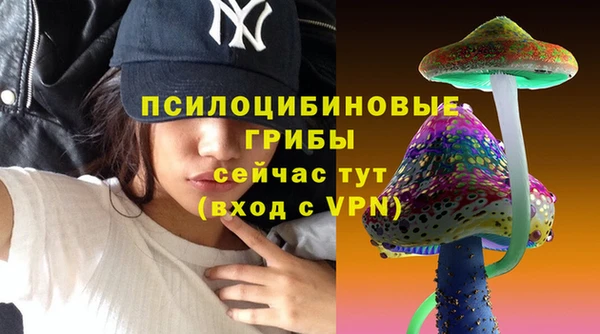 шишки Лиски