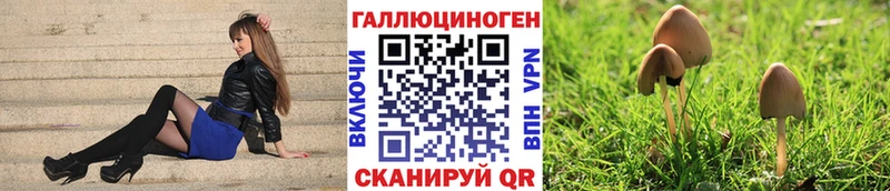 Купить закладки Хасавюрт Галлюциногенные грибы Magic Shrooms