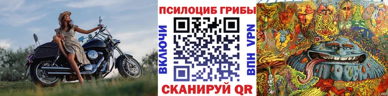 Псилоцибиновые грибы GOLDEN TEACHER Хасавюрт
